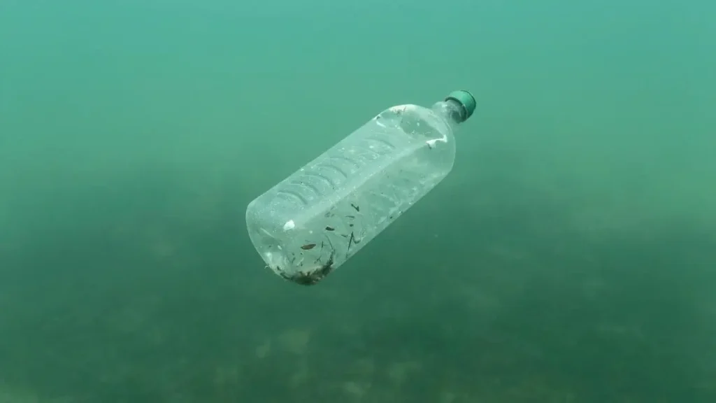 Retos y futuro del plástico biodegradable en la industria