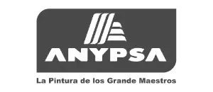 Anypsa logo